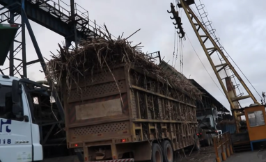 Clima seco antecipa fim da safra e reduz moagem na Usina Santa Clotilde, em Rio Largo