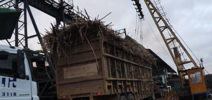 Clima seco antecipa fim da safra e reduz moagem na Usina Santa Clotilde, em Rio Largo