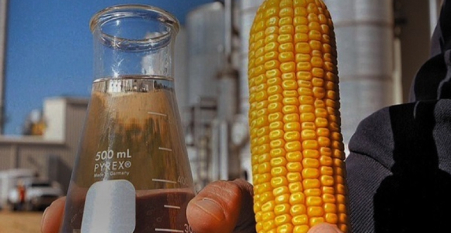 Etanol de milho - Foto: Reprodução