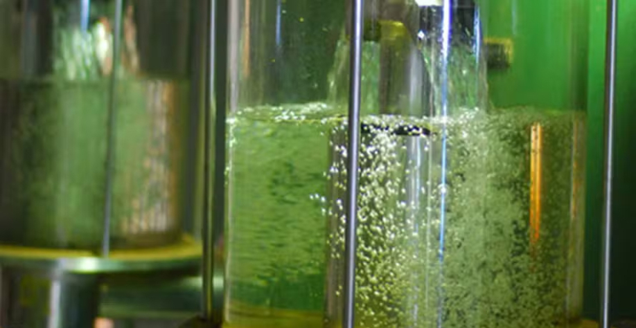 O programa Combustível do Futuro inclui metas de mistura para o etanol anidro, biodiesel e combustível sustentável de aviação (SAF) — Foto: Divulgação