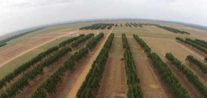 Integração entre ciência, inovação e governança é chave para um futuro agrícola resiliente