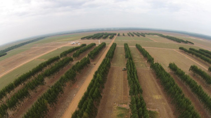 Integração entre ciência, inovação e governança é chave para um futuro agrícola resiliente