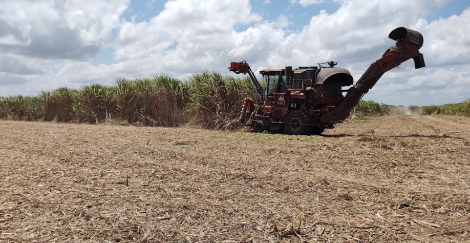 Aumento de 4,05% é reflexo principalmente das exportações do açúcar VHP para o mercado mundial - Foto: BCCOM Comunicação
