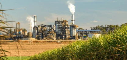 Produção de açúcar na Paraíba cai 24% na safra 2025/2026 e usinas reforçam produção de etanol