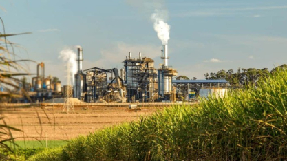 Produção de açúcar na Paraíba cai 24% na safra 2025/2026 e usinas reforçam produção de etanol