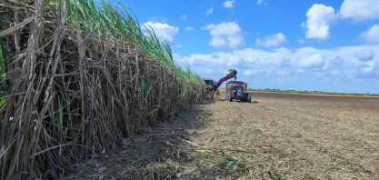Crise da cana em AL: prejuízo dos fornecedores passa de R$ 330 milhões