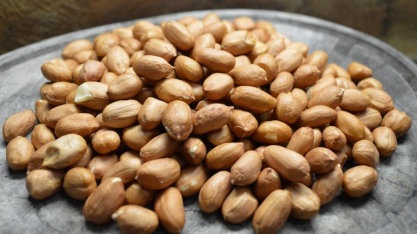 Novo sistema de produção do amendoim está disponível para os produtores