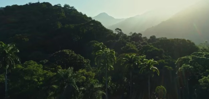 Carbon Countdown cria maior base nacional de estoques de carbono