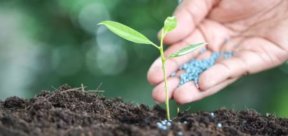 Custo de fertilizante nitrogenado renovável já é competitivo com o de origem fóssil, diz estudo
