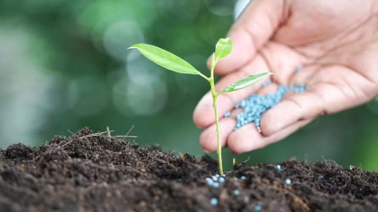 Custo de fertilizante nitrogenado renovável já é competitivo com o de origem fóssil, diz estudo