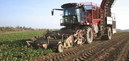 Ucrânia: produção de açúcar ultrapassa 1,5 milhão de toneladas na safra 2025/26