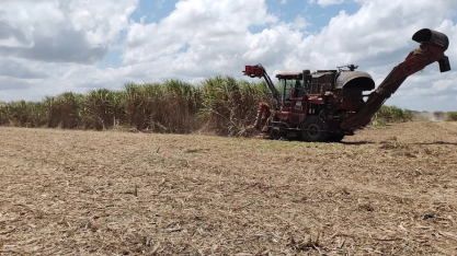 CBIO pode garantir renda extra para 5 mil fornecedores de cana em AL