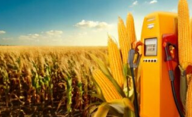 Etanol de milho dispara e já representa quase 80% da produção em dezembro