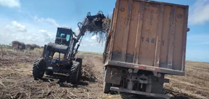 Menor em 5 anos, ATR de janeiro cai 6,7% e agrava crise da cana em AL