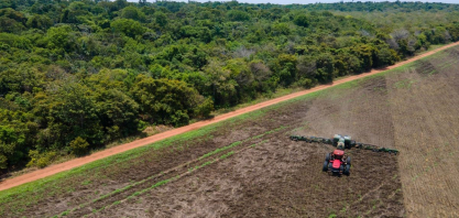 Microsoft fecha megacontrato de carbono com Indigo: veja impacto no Brasil