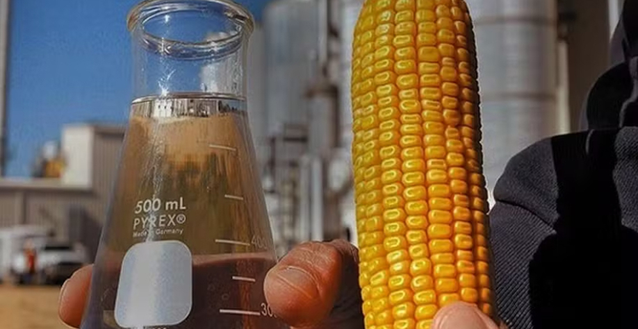  “Aumento na oferta de etanol de milho pode desequilibrar mercado”, diz Andy Duff, do Rabobank — Foto: CNA/Divulgação