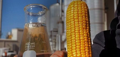 Expansão na oferta de etanol de milho pode afetar mercado global de açúcar