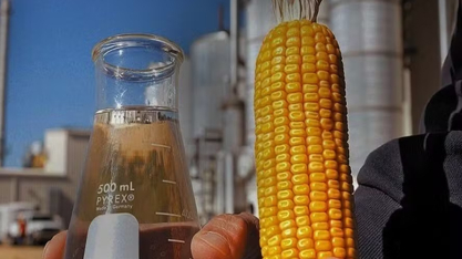 Expansão na oferta de etanol de milho pode afetar mercado global de açúcar