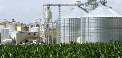Preço do etanol reage a clima, custos e à política energética