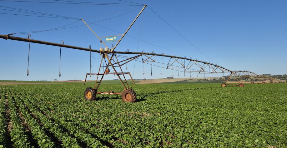 Pivô central Valley em operação na Romalure Agrícola irrigação garante estabilidade produtiva no interior paulista.