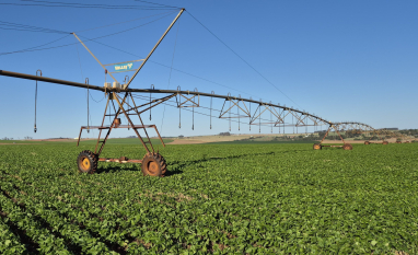 Produtor paulista expande área irrigada para 800 hectares e aposta em telemetria para reduzir riscos no campo