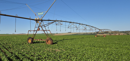 Produtor paulista expande área irrigada para 800 hectares e aposta em telemetria para reduzir riscos no campo