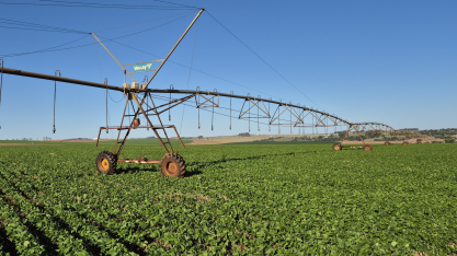 Produtor paulista expande área irrigada para 800 hectares e aposta em telemetria para reduzir riscos no campo