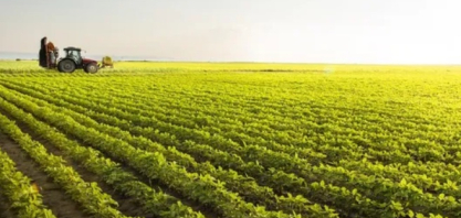 VBP da agropecuária ficará em torno de R$ 1,371 trilhão em 2026