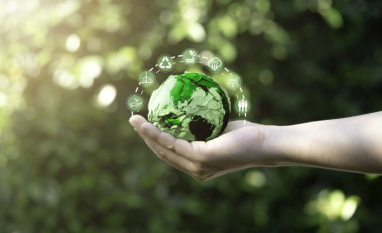 Norma estabelece diretrizes de sustentabilidade para o Programa Selo Verde Brasil