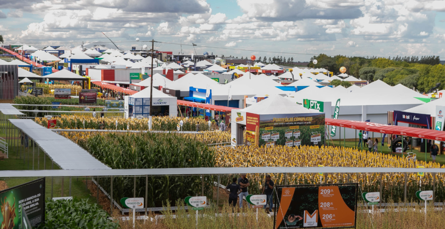 Foto: Roberto Dziura Jr/AEN