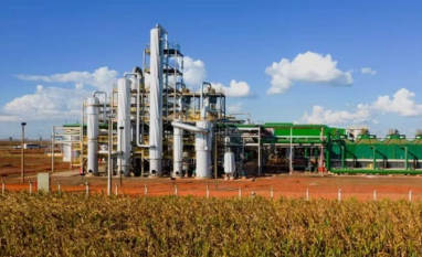 Produção de açúcar na Paraíba cai 24% na safra 2025/2026 e usinas reforçam produção de etanol