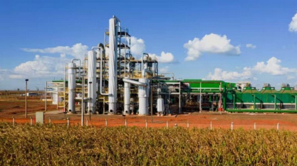 Produção de açúcar na Paraíba cai 24% na safra 2025/2026 e usinas reforçam produção de etanol