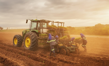 Estiva Bioenergia inicia plantio com foco em produtividade e segurança operacional