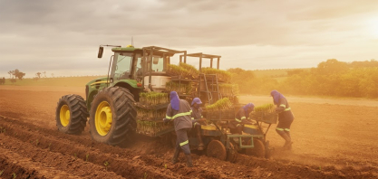 Estiva Bioenergia inicia plantio com foco em produtividade e segurança operacional