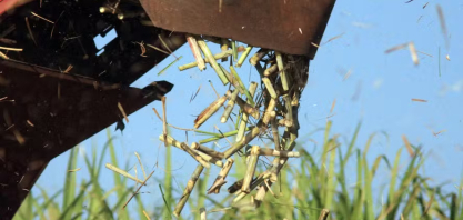 Raízen deveria repassar mais canaviais próprios para fornecedores independentes, diz Orplana