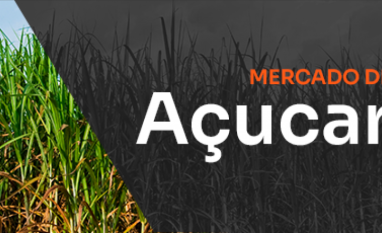 Proteção ou rendição?