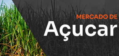 Proteção ou rendição?