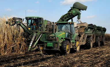 USDA projeta leve alta na oferta de açúcar em 2025/26