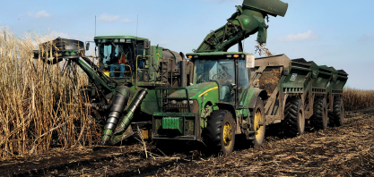 USDA projeta leve alta na oferta de açúcar em 2025/26