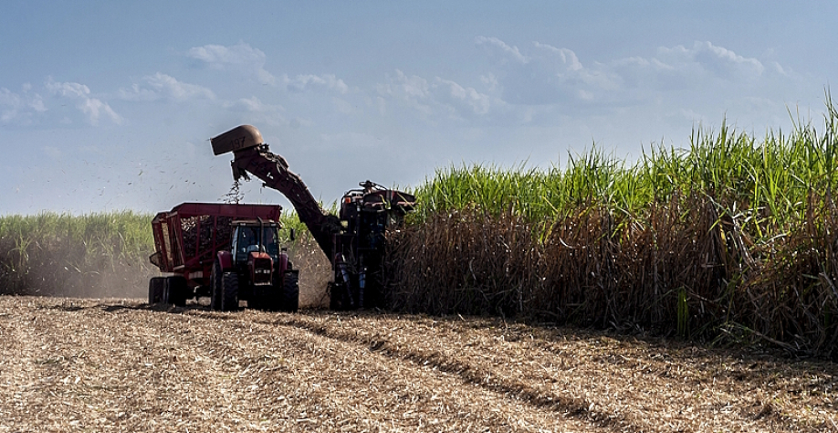 Colheita mecanizada de cana-de-açúcar em uma propriedade do interior de São Paulo (Crédito: DepositPhotos)