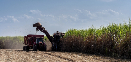 Arrendamento de fazendas por empresas de cana-de-açúcar promove concentração do uso da terra no estado de São Paulo