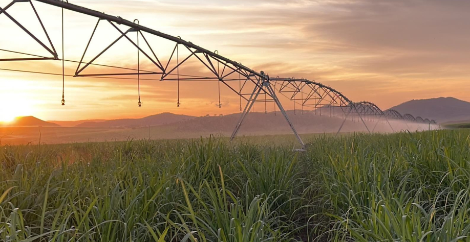 Irrigação na Jalles é fruto de um processo construído ao longo de mais de três décadas. Foto: Divulgação Jalles