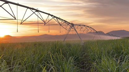 Pioneirismo e tecnologia colocam a Jalles na vanguarda da Irrigação 4.0