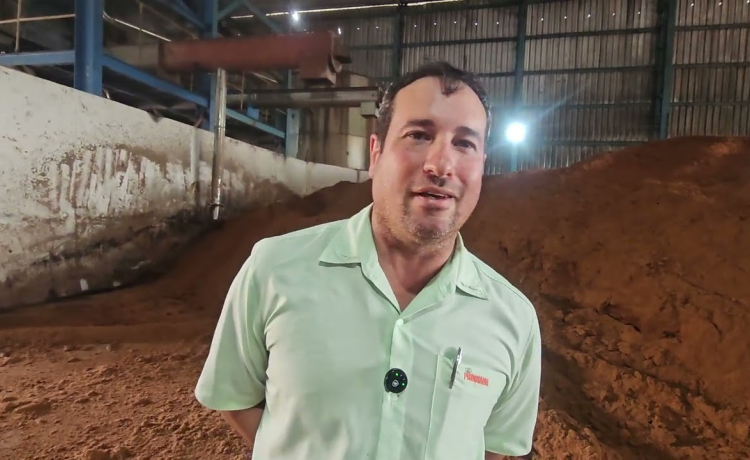 Na Cooperativa Pindorama, confira as diferenças na produção de etanol com cana, milho e sorgo