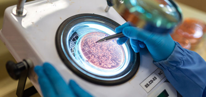 Bioinsumos elevam em mais de 8% a produtividade da soja no Paraná