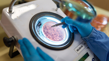 Bioinsumos elevam em mais de 8% a produtividade da soja no Paraná