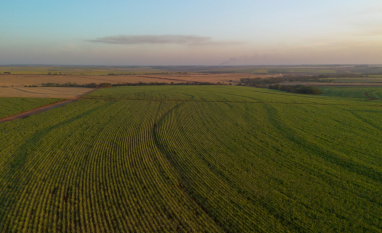 Tereos conquista certificação Regenagri em usina paulista