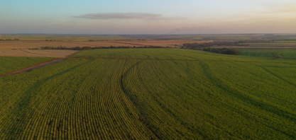 Tereos conquista certificação Regenagri em usina paulista