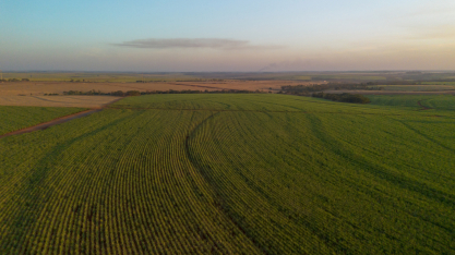 Tereos conquista certificação Regenagri em usina paulista