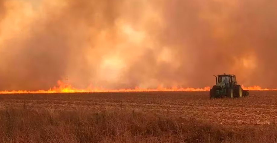 Foto: Secretaria de Agricultura de SP